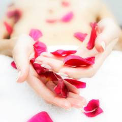 spa_manicure